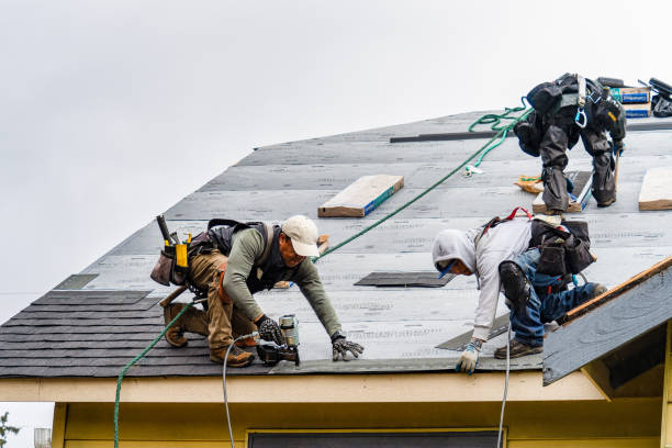 Professional Roofing technician working in Independence, WI